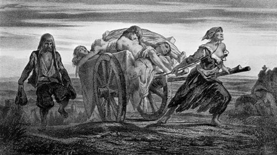 英国古陶片数量减少揭示黑死病破坏力