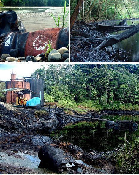 无言的证据：毁灭性的生态灾难照片