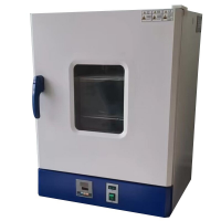 长沙 DHG65L电热恒温鼓风通氮干燥箱